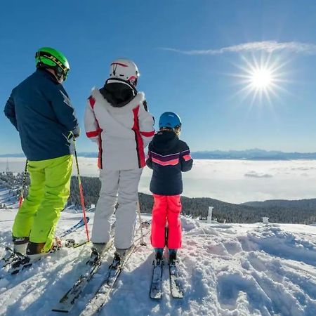 Studio Chaleureux Au Depart Des Sentiers Et Pistes De Ski Lajoux Exterior foto