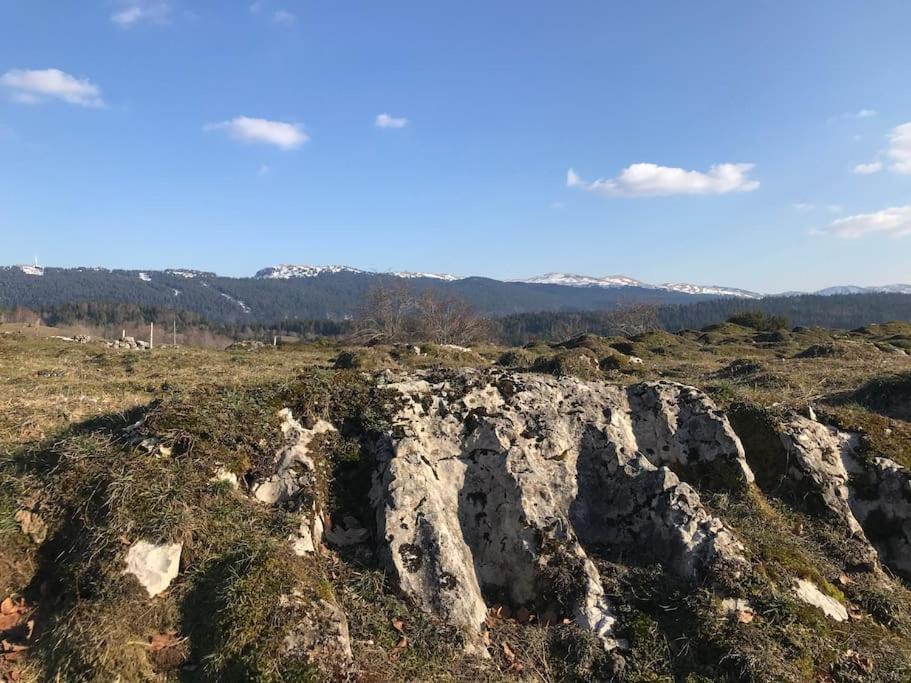 Studio Chaleureux Au Depart Des Sentiers Et Pistes De Ski Lajoux Exterior foto