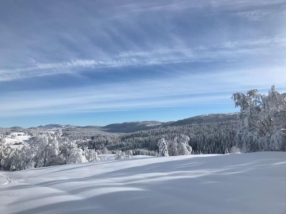 Studio Chaleureux Au Depart Des Sentiers Et Pistes De Ski Lajoux Exterior foto