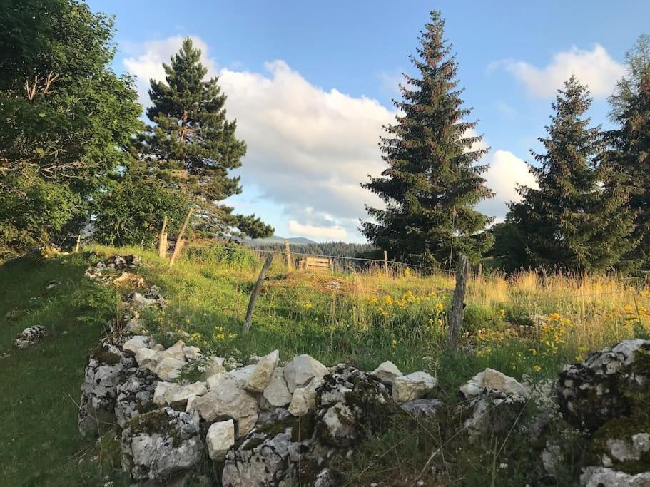 Studio Chaleureux Au Depart Des Sentiers Et Pistes De Ski Lajoux Exterior foto